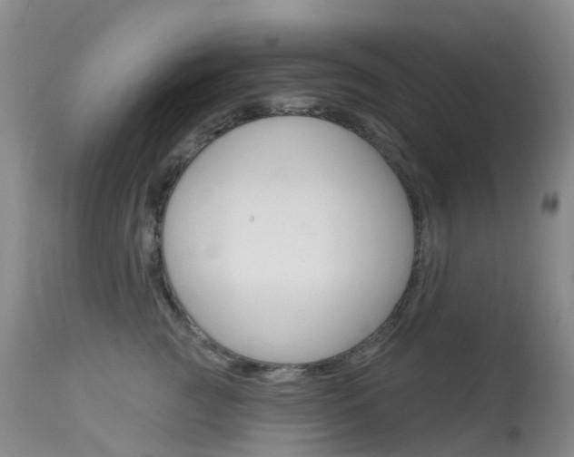 X0000113960761200909251026