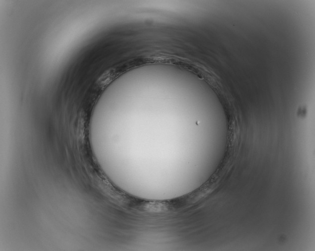 X0000113960762200909251026