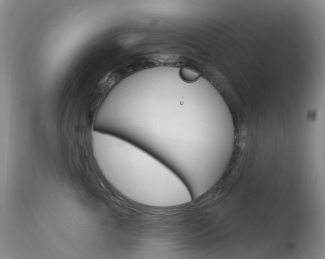 X0000113960763200909251026