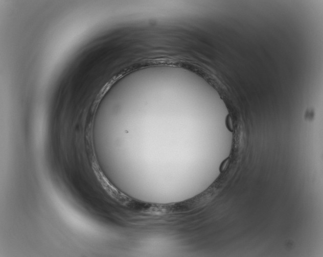 X0000113960764200909251026