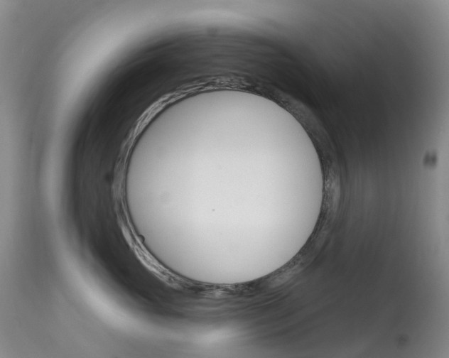 X0000113960765200909251026