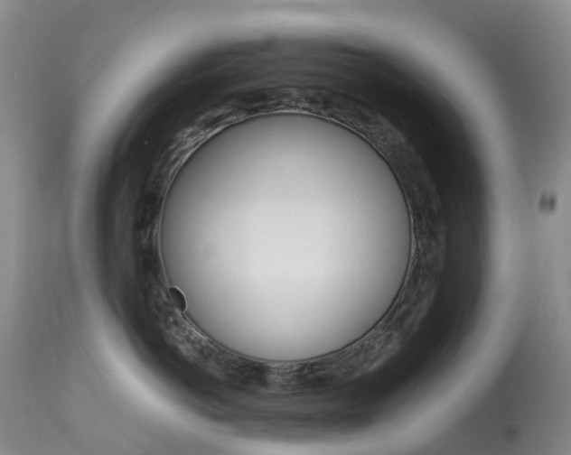 X0000113960766200909251026