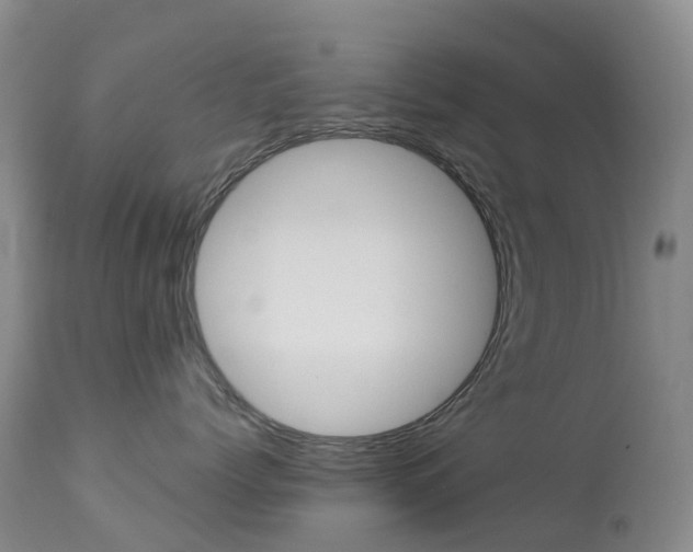 X0000113960768200909251026