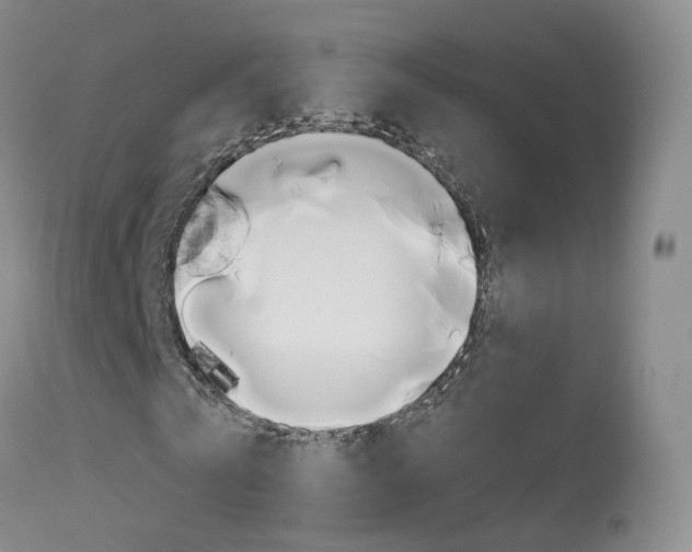 X0000113960769200909251025