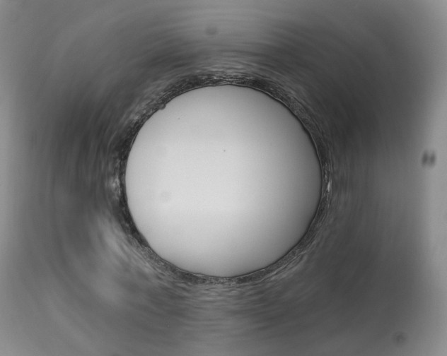 X0000113960771200909251025
