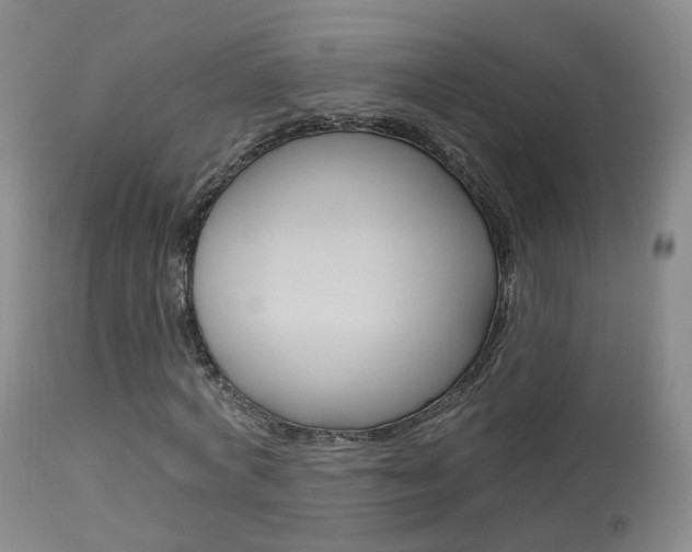 X0000113960772200909251025
