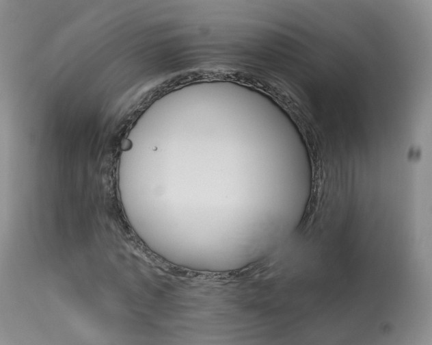 X0000113960773200909251025