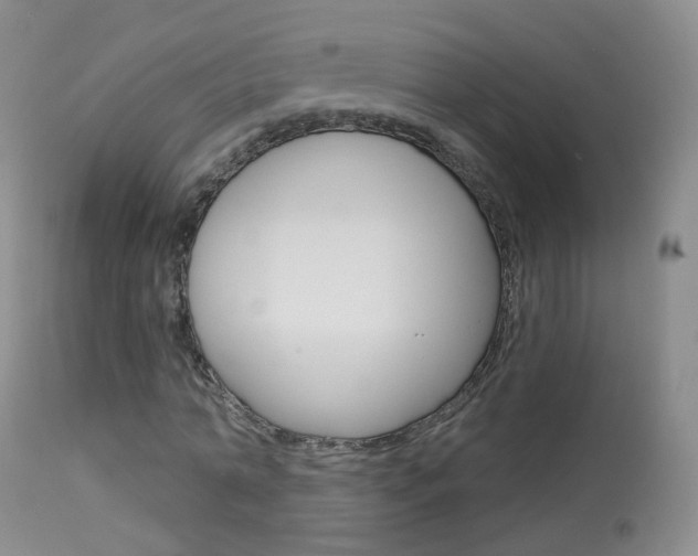 X0000113960774200909251025