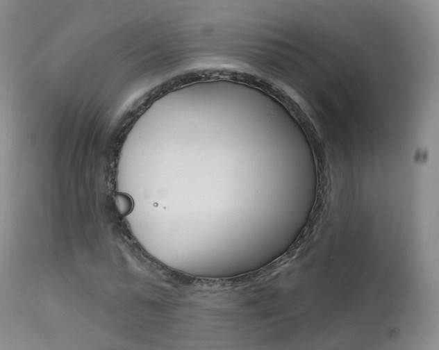 X0000113960775200909251025