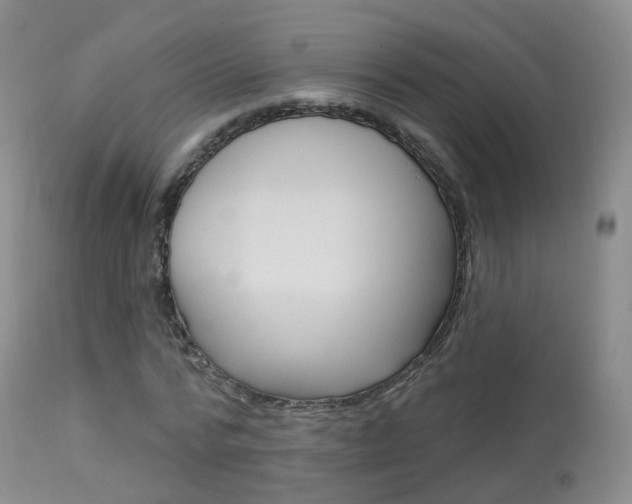 X0000113960776200909251025