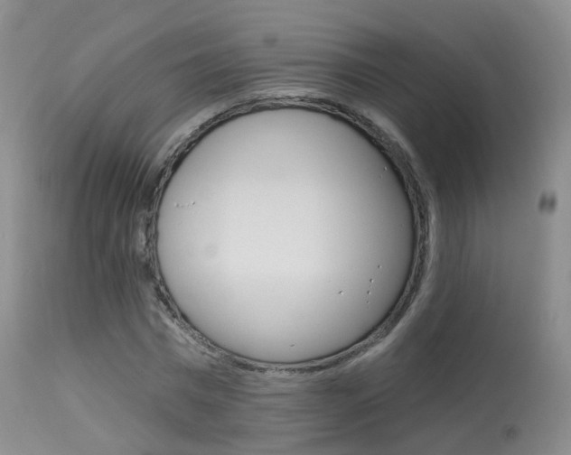 X0000113960777200909251025