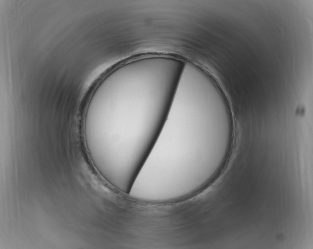 X0000113960779200909251025