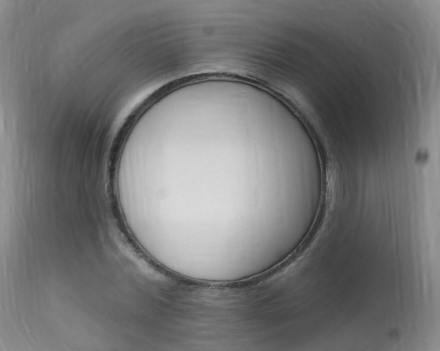 X0000113960780200909251025