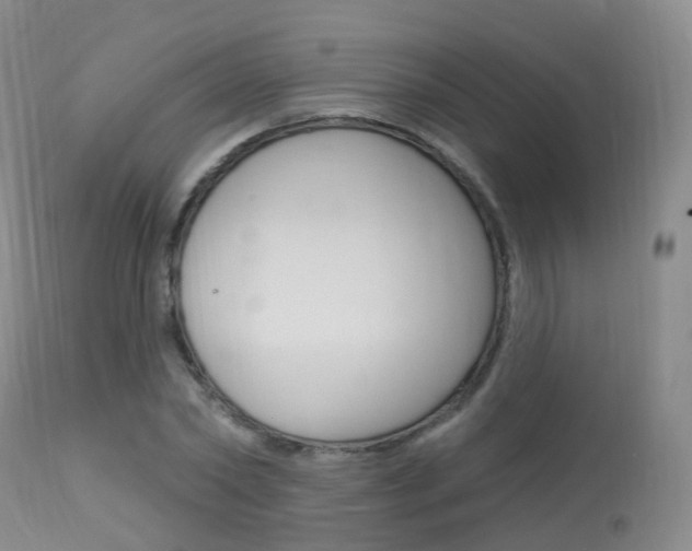 X0000113960782200909251025