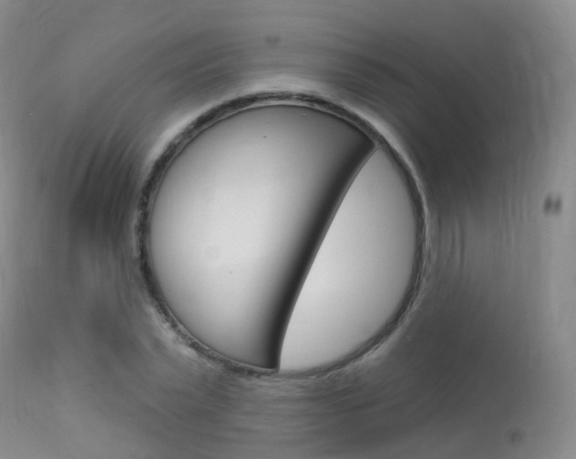 X0000113960783200909251025