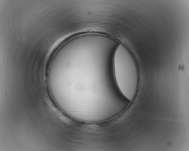 X0000113960784200909251025