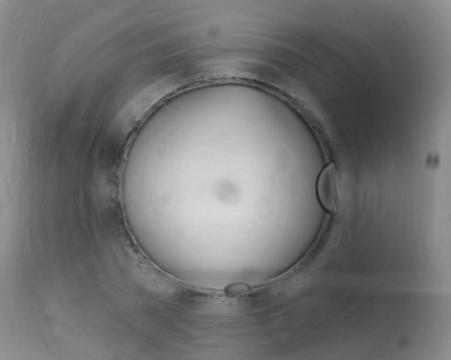 X0000113960785200909251025