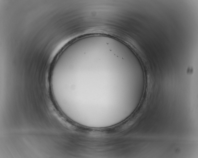 X0000113960788200909251025