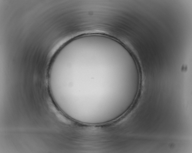 X0000113960789200909251025