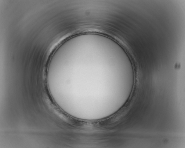 X0000113960790200909251025