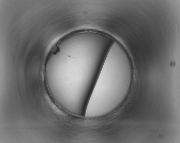 X0000113960791200909251025