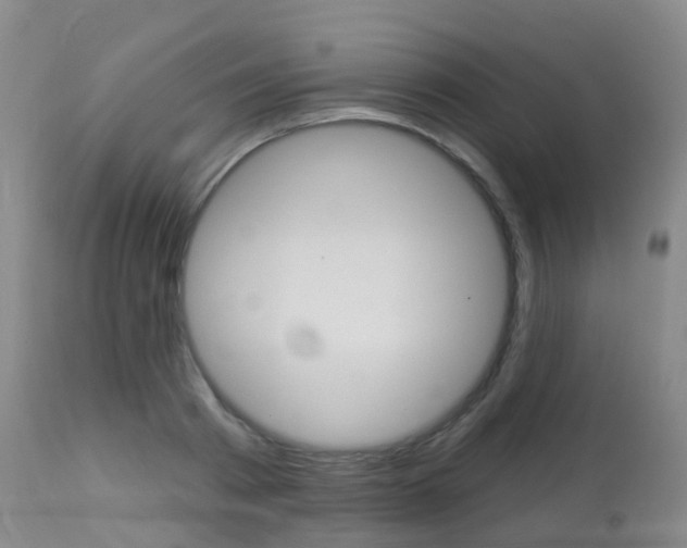 X0000113960793200909251025
