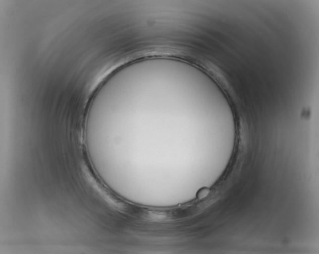 X0000113960794200909251025