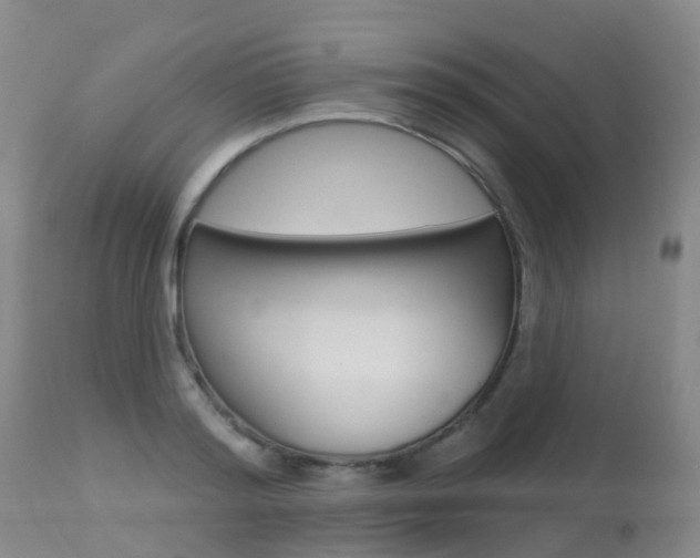 X0000113960796200909251025