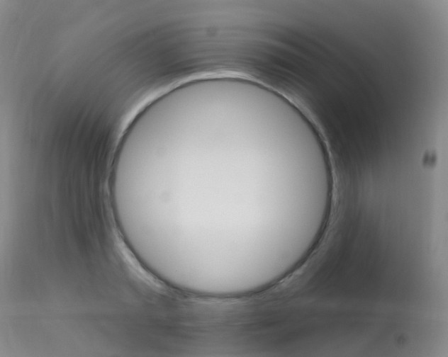 X0000113960797200909251025