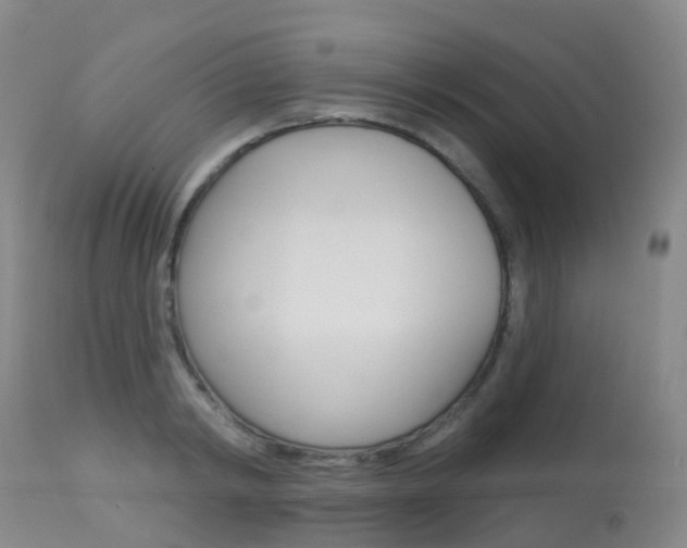 X0000113960798200909251025