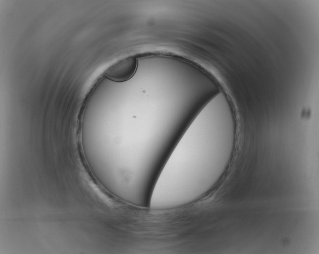 X0000113960799200909251025