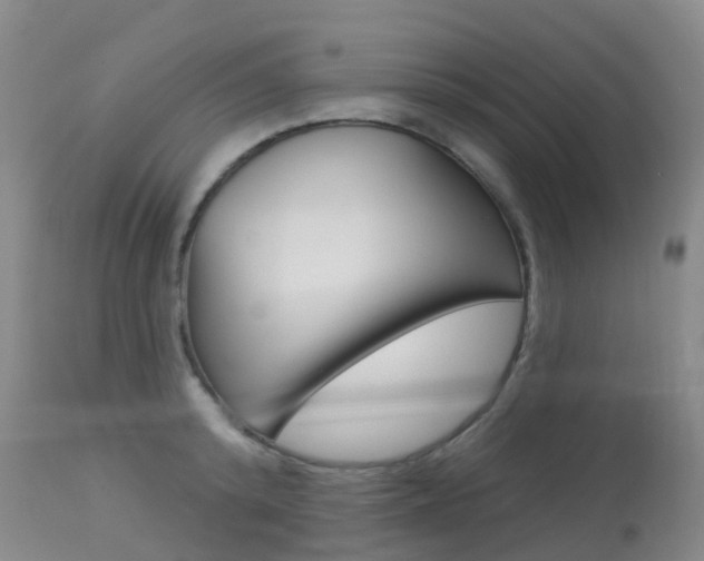 X0000113960800200909251025