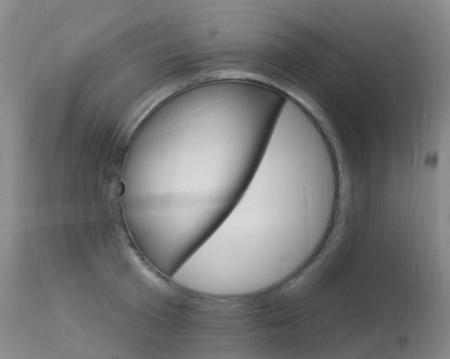 X0000113960801200909251025
