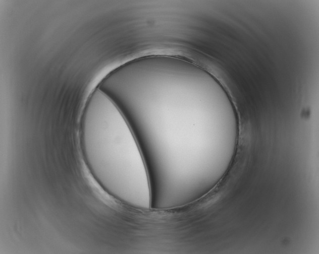 X0000113960803200909251025