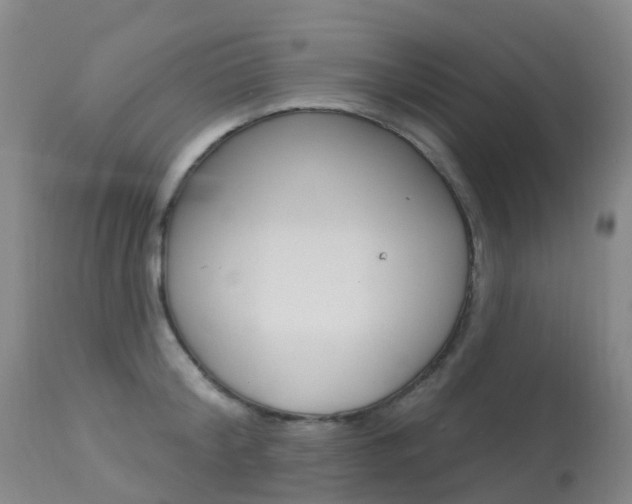 X0000113960804200909251025