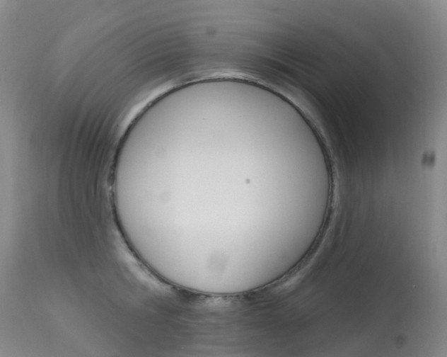 X0000113960806200909251025
