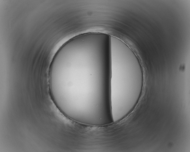 X0000113960808200909251025