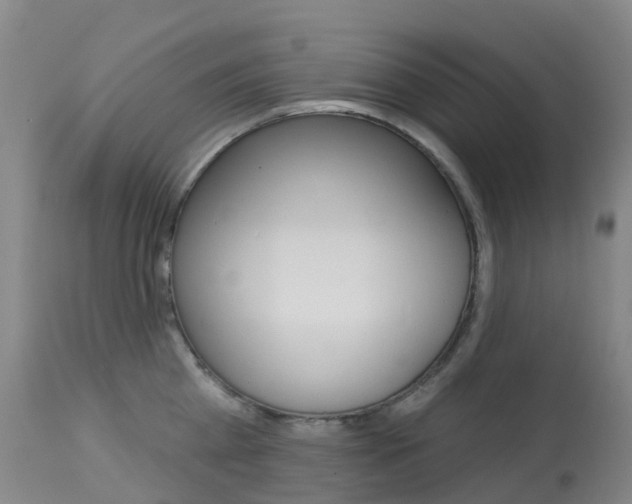 X0000113960809200909251025
