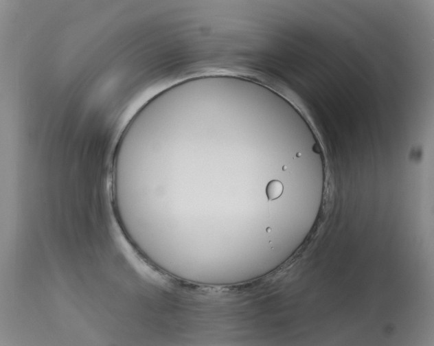 X0000113960811200909251025