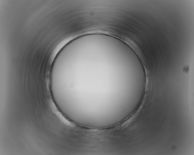 X0000113960812200909251025