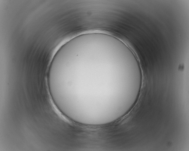 X0000113960813200909251025