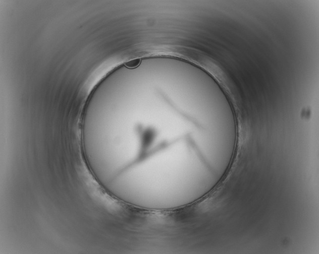 X0000113960814200909251025