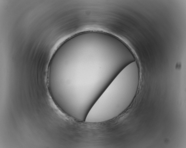 X0000113960815200909251025