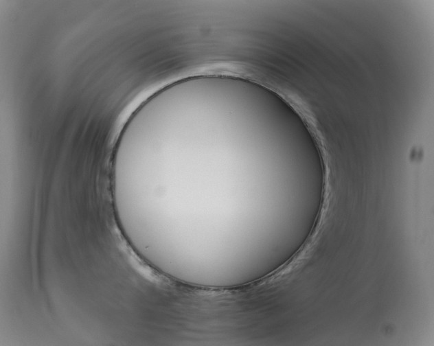 X0000113960816200909251025