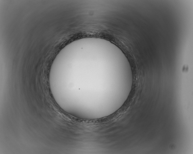 X0000113960817200909251024