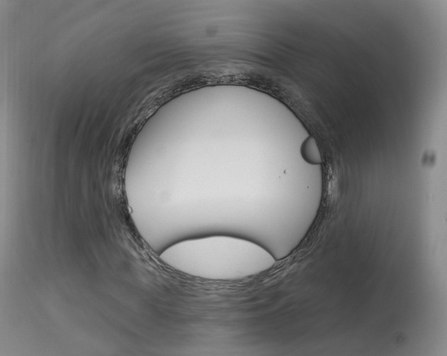 X0000113960819200909251024