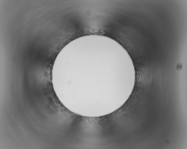 X0000113960820200909251024