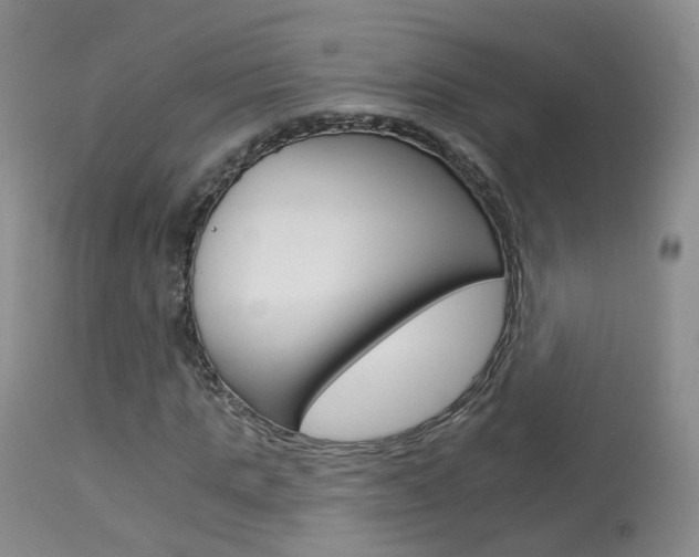 X0000113960821200909251024