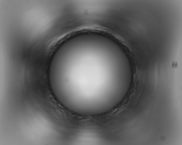 X0000113960822200909251024