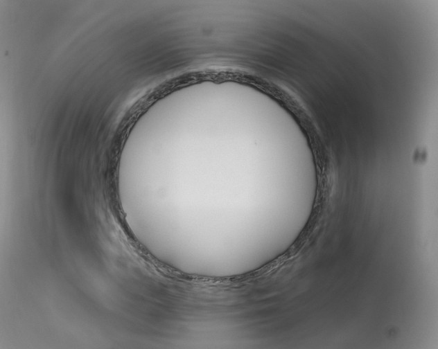 X0000113960823200909251024